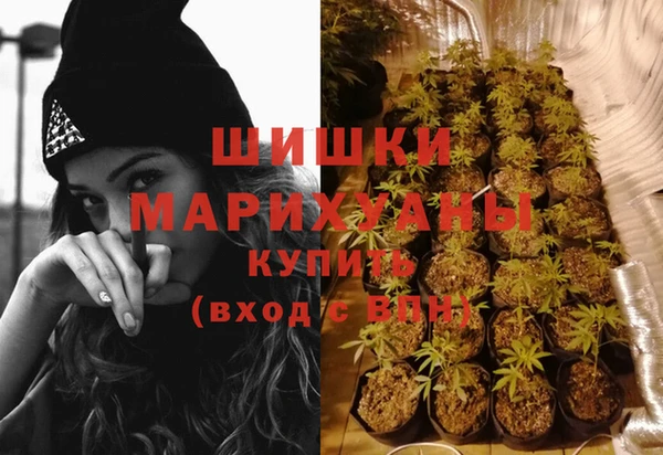 амф Елизово
