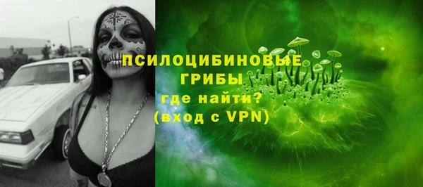 мескалин Елабуга