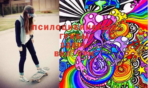 мескалин Елабуга