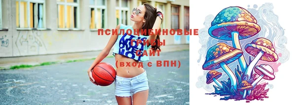 амф Елизово